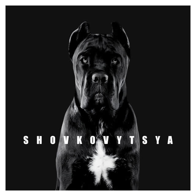 LATEXFAUNA - Shovkovytsya