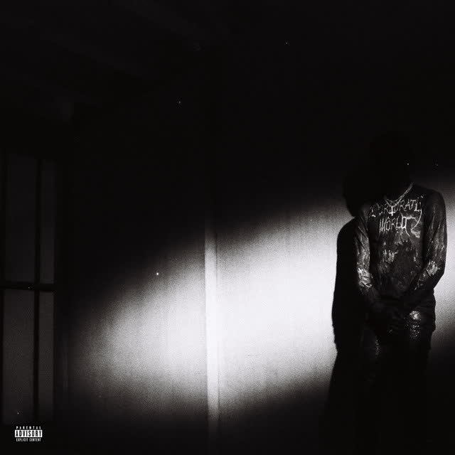 Destroy Lonely - NOSTYLIST